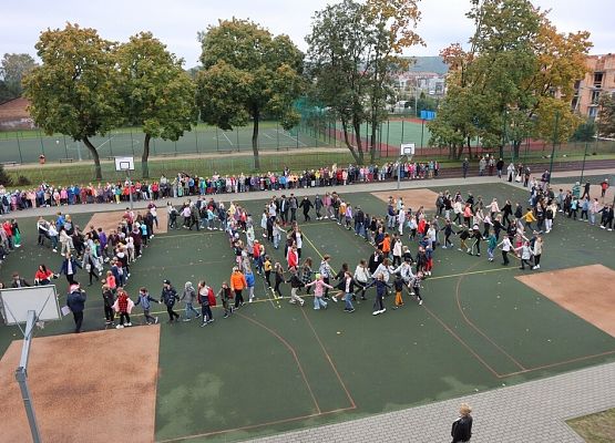 Lekcja historii z Wybickim – piknik urodzinowy grafika