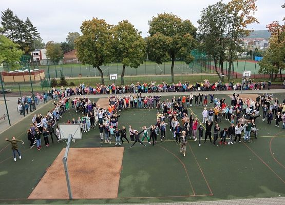 Lekcja historii z Wybickim – piknik urodzinowy grafika