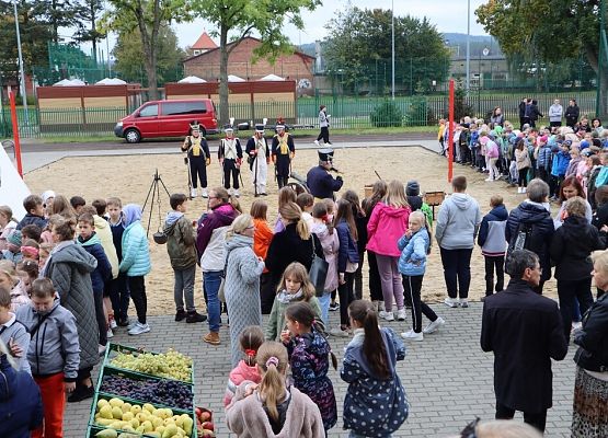 Lekcja historii z Wybickim – piknik urodzinowy grafika