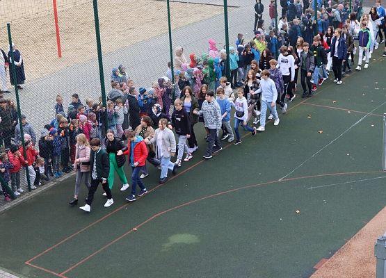 Lekcja historii z Wybickim – piknik urodzinowy grafika