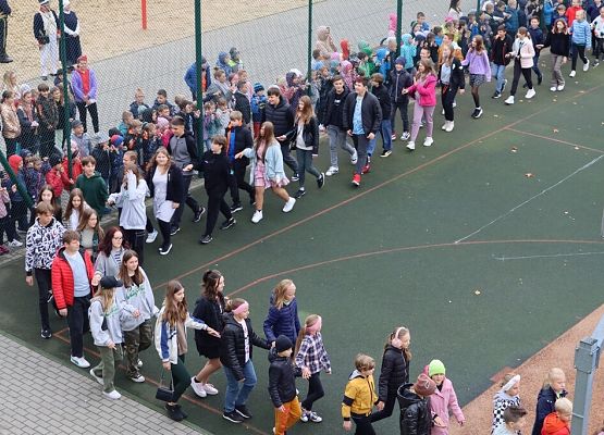 Lekcja historii z Wybickim – piknik urodzinowy grafika