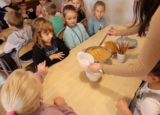 Lekcja historii z Wybickim – piknik urodzinowy grafika