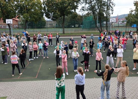 Lekcja historii z Wybickim – piknik urodzinowy grafika