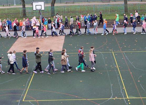 Lekcja historii z Wybickim – piknik urodzinowy grafika