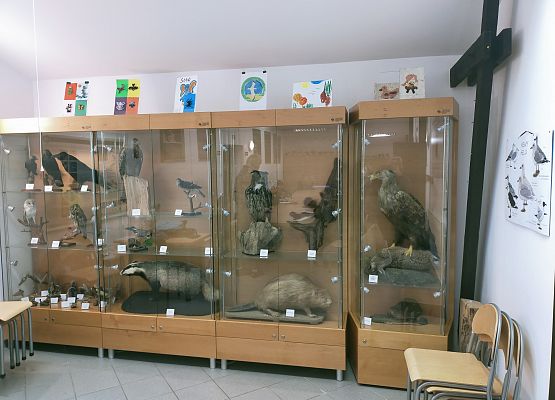 Lekcja przyrody w Słowińskim Parku Narodowym grafika