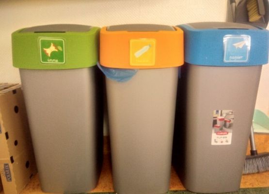 Kubusiowi Przyjaciele Natury grafika