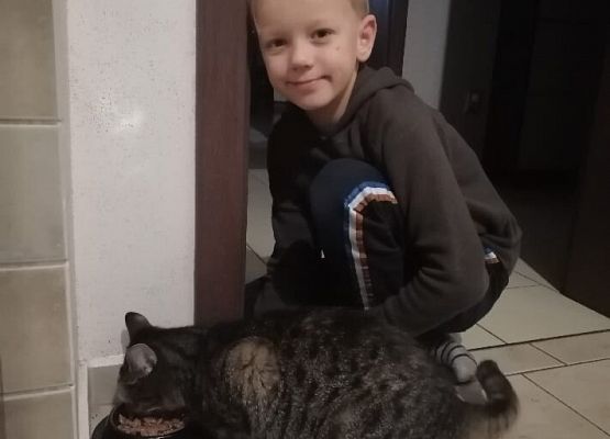 Kubusiowi Przyjaciele Natury- Kochamy zwierzęta grafika