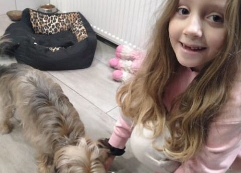 Kubusiowi Przyjaciele Natury- Kochamy zwierzęta grafika