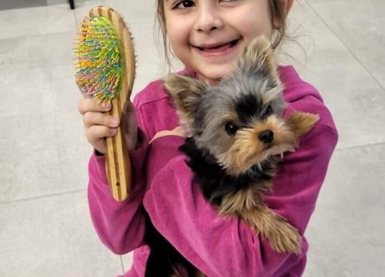 Kubusiowi Przyjaciele Natury- Kochamy zwierzęta grafika