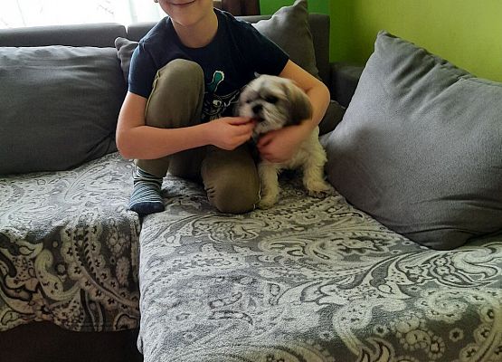 Kubusiowi Przyjaciele Natury- Kochamy zwierzęta grafika