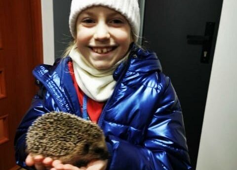 Kubusiowi Przyjaciele Natury- Kochamy zwierzęta grafika