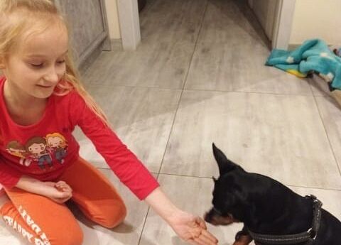 Kubusiowi Przyjaciele Natury- Kochamy zwierzęta grafika