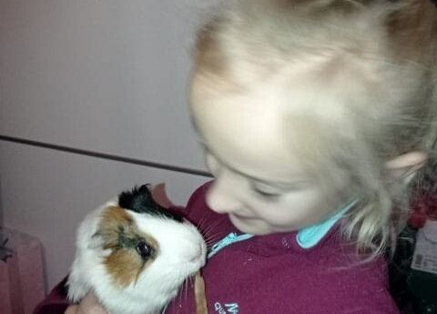 Kubusiowi Przyjaciele Natury- Kochamy zwierzęta grafika