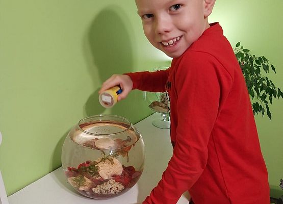 Kubusiowi Przyjaciele Natury- Kochamy zwierzęta grafika