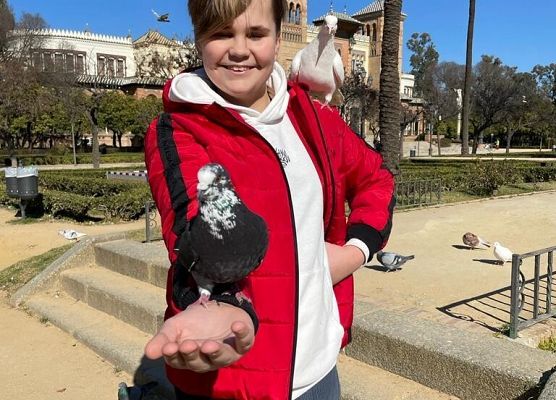 Erasmus+ w Hiszpanii, Sewilla grafika