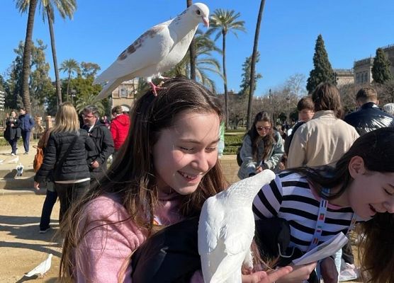 Erasmus+ w Hiszpanii, Sewilla grafika