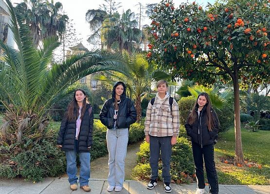 Erasmus+ w Hiszpanii, Sewilla grafika