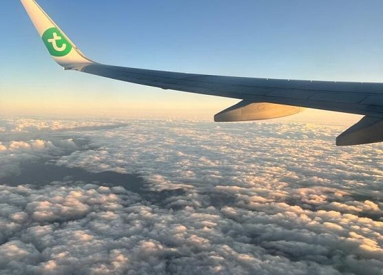 Erasmus+ w Hiszpanii, Sewilla grafika