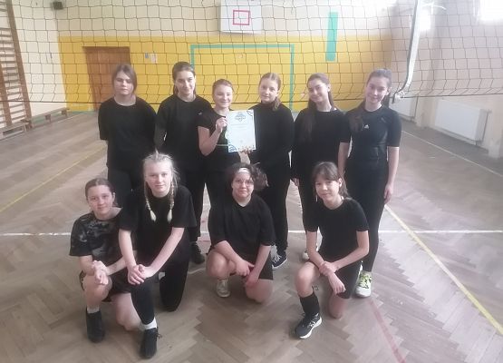 Miejskie Igrzyska Dzieci w mini siatkówce grafika