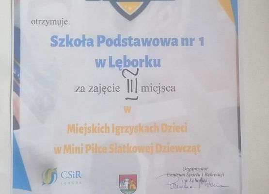 Miejskie Igrzyska Dzieci w mini siatkówce grafika