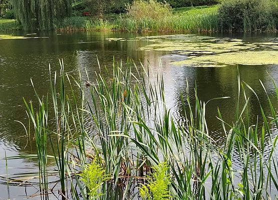 Piesza wyprawa czwarto i szóstoklasistów grafika