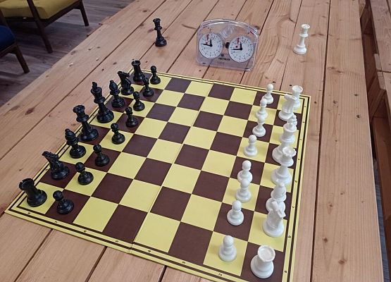 Drużynowe Mistrzostwa Lęborka Szkół Podstawowych w Szachach grafika