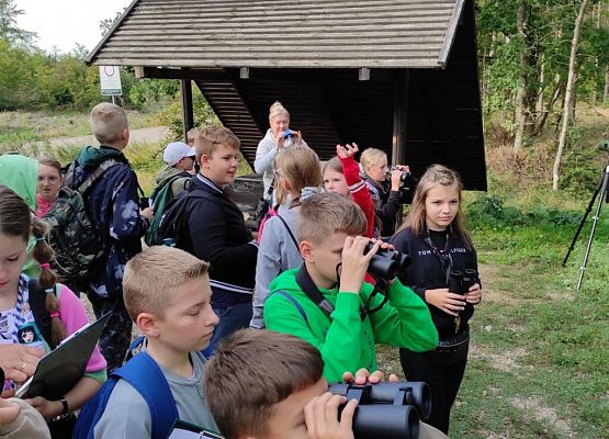 Spotkanie z naturą grafika