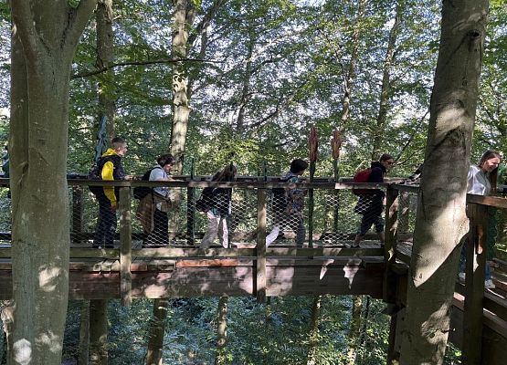 Polsko-niemiecka wymiana w Stralsundzie - „Was verbindet?”- „Co łączy? grafika