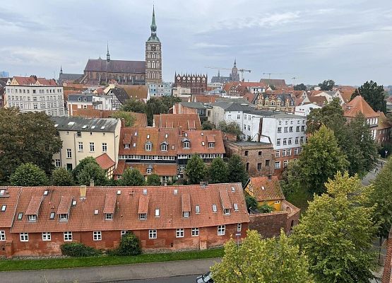Polsko-niemiecka wymiana w Stralsundzie - „Was verbindet?”- „Co łączy? grafika