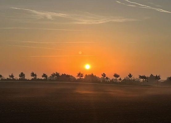 Polsko-niemiecka wymiana w Stralsundzie - „Was verbindet?”- „Co łączy? grafika