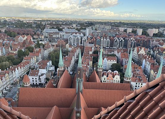 Polsko – niemiecka wymiana młodzieży w Gdańsku grafika