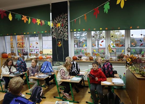 Jesień też może być piękna! grafika