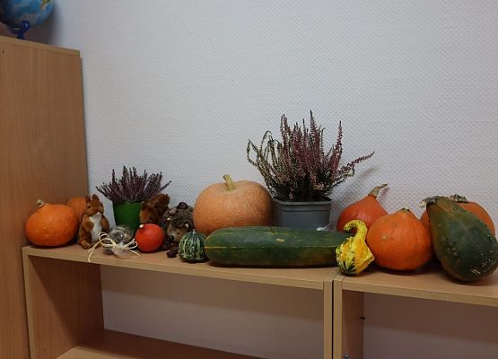 Jesień też może być piękna! grafika