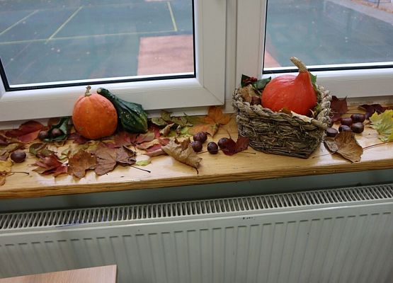 Jesień też może być piękna! grafika