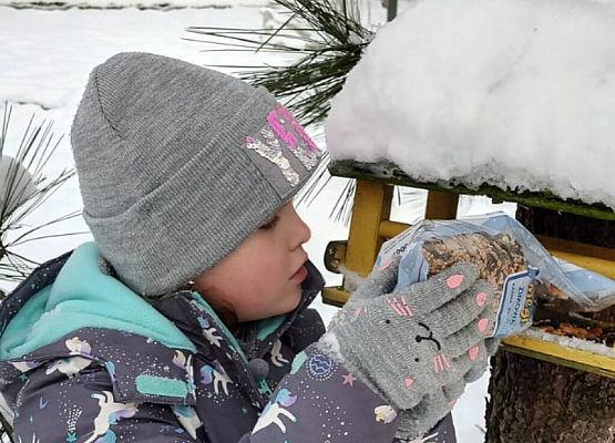 Dokarmiamy ptaki grafika