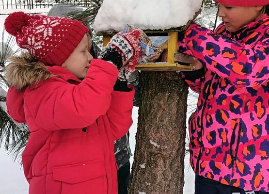 Dokarmiamy ptaki grafika