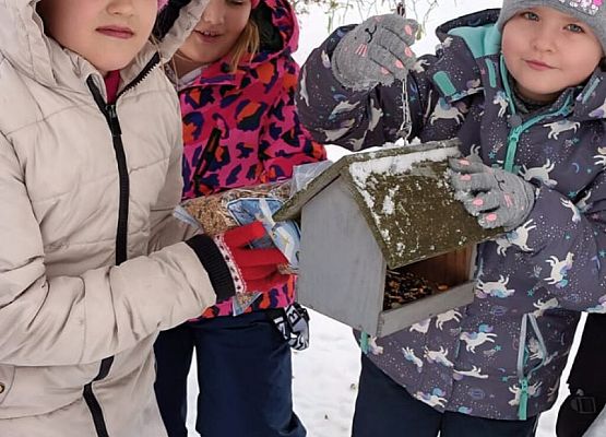 Dokarmiamy ptaki grafika