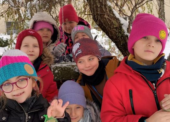 Dokarmiamy ptaki grafika