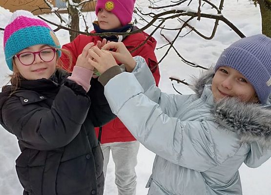 Dokarmiamy ptaki grafika