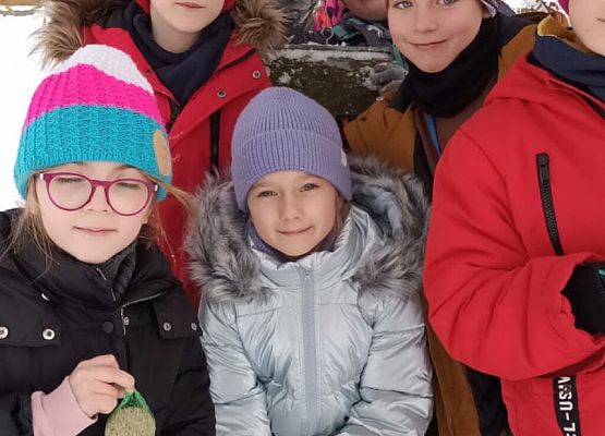 Dokarmiamy ptaki grafika