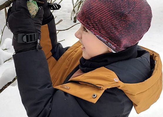 Dokarmiamy ptaki grafika