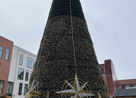 Klasa 7a na Jarmarku Bożonarodzeniowym w Gdańsku grafika