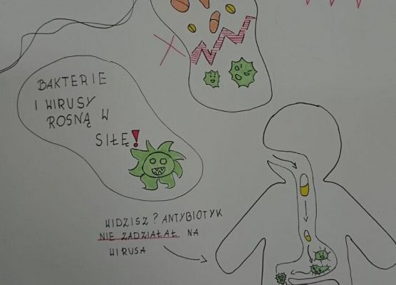 Światowy Tydzień Wiedzy o Antybiotykach grafika