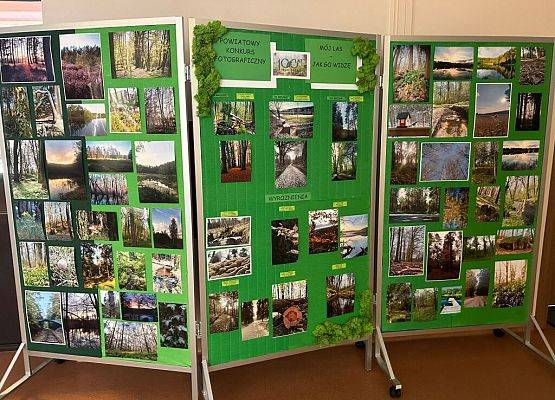 Wyróżnienia w Konkursie „ Mój las – jak go widzę” grafika