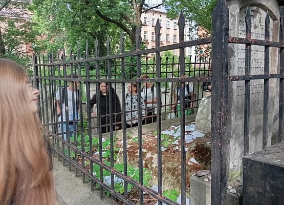 7B w Krakowie grafika