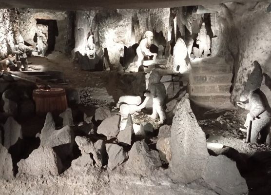 7B w Krakowie grafika