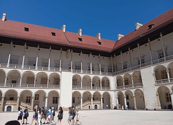 7B w Krakowie grafika