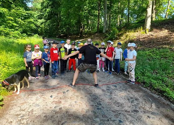 Survivalowa przygoda pierwszaków grafika