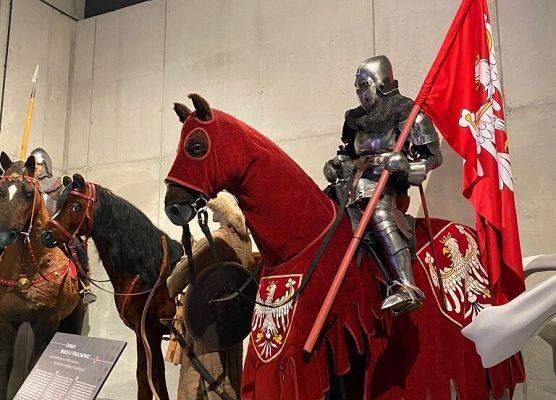 Etap centralny konkursu wiedzy o zamkach gotyckich grafika