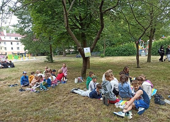 Czerwcowe „Czytanie na polanie” grafika